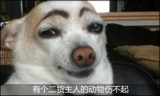 u=3142823185,2751898988&fm=21&gp=0.jpg